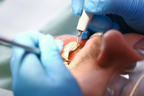 Best Emergency Denture Repair in Brownsville, PA